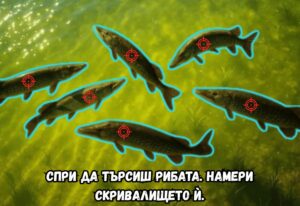Риболов на Щука